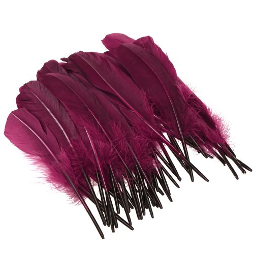 Product Decorative feathers burgundy goose feathers craft supplies 20g x 2pcs
