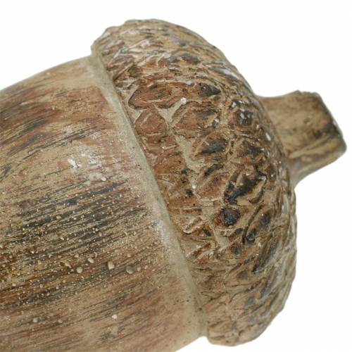 Floristik24 Deco figure Acorn Brown 11cm x 8cm x 7cm 3pcs