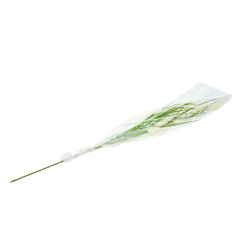 Floristik24 Deco Green L85cm