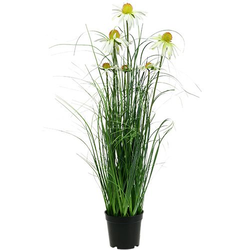 Floristik24 Artificial deco grass with chamomile in a pot 66cm