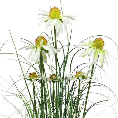 Floristik24 Artificial deco grass with chamomile in a pot 66cm