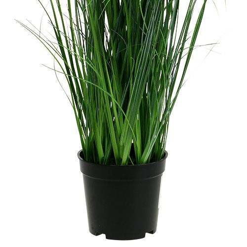 Floristik24 Artificial deco grass with chamomile in a pot 66cm
