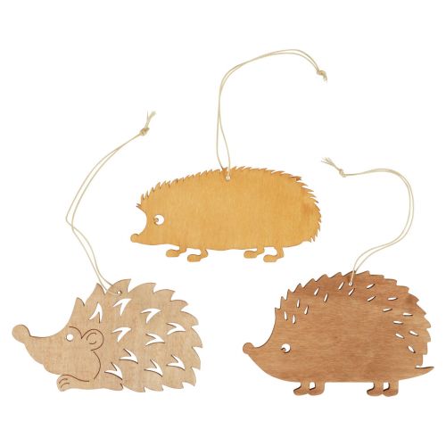Floristik24 Decorative hanging wooden hedgehog decoration brown natural orange 12x10cm 12 pcs