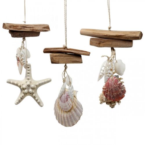 Floristik24 Deco hanger maritime hanging decoration shells starfish 27cm 3pcs