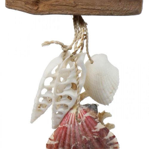 Product Deco hanger maritime hanging decoration shells starfish 27cm 3pcs