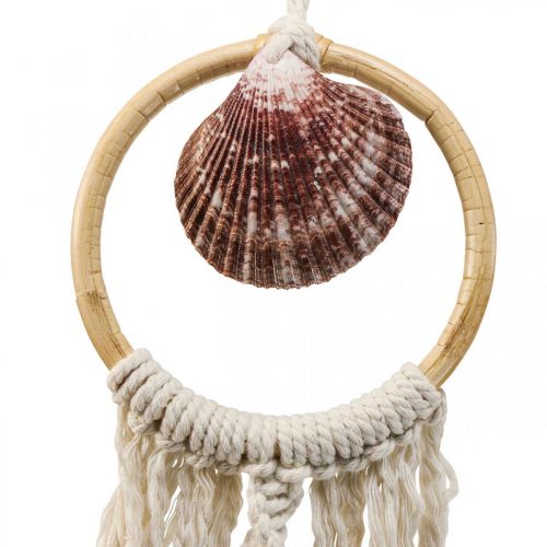 Decorative hanger maritime, shell pendant macrame decoration 45×11.5cm