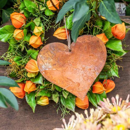 Floristik24 Decorative hearts made of metal, autumn decoration, decorative pendant, rust 14×15cm 6 pcs