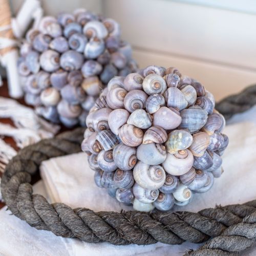Floristik24 Decorative ball sea snails shell ball natural decoration maritime Ø19cm