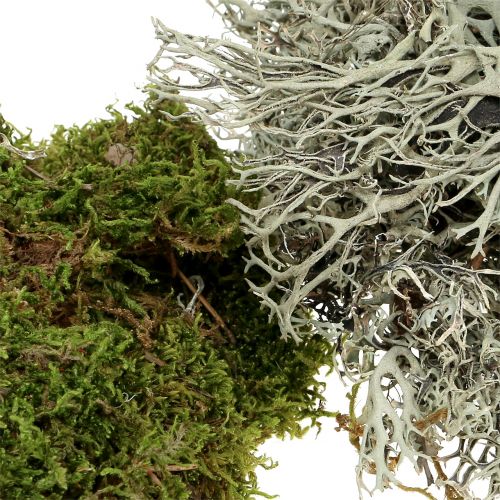 Product Decorative moss mix natural, green 500g