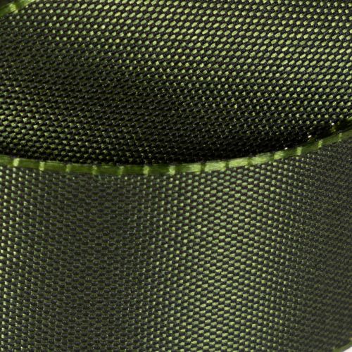 Shiny Green Taffeta Ribbon