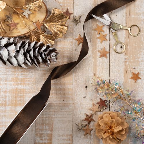 Brown Taffeta Ribbon Roll 25mm x 50m for Decorative Use | Floristik24.co.uk