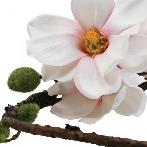 Floristik24 Decorative ring artificial magnolia spring decoration for hanging Ø24cm