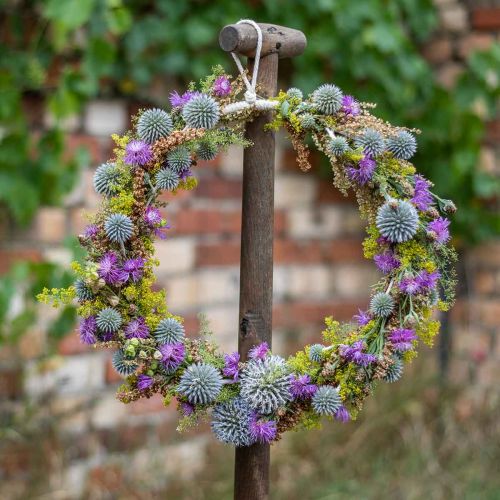 Floristik24 Decorative ring for hanging, window decoration, wall decoration natural colors Ø30cm 4pcs