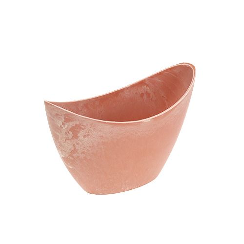 Floristik24 Decorative bowl light orange 20cm x 9cm H11.5cm, 1p