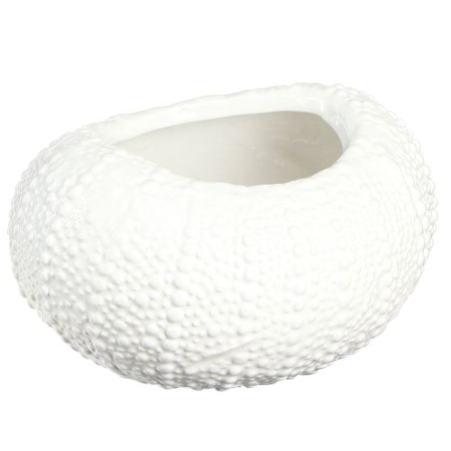 Product Decorative Bowl Ceramic Maritime Oval in White 19x15x8.5cm