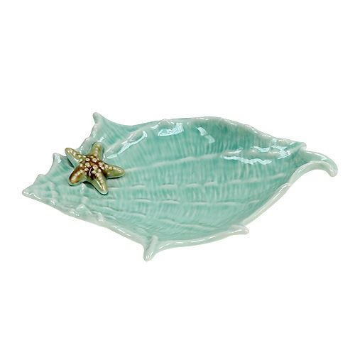 Floristik24 Deco bowl shell 22cm