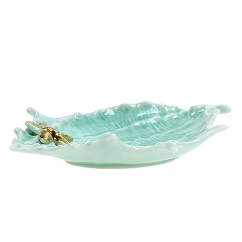 Floristik24 Deco bowl shell 22cm