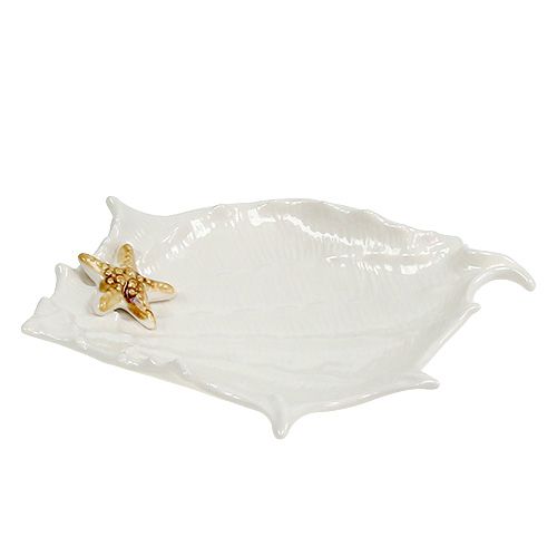 Floristik24 Deco bowl shell with starfish 22cm