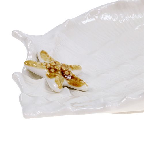 Floristik24 Deco bowl shell with starfish 22cm