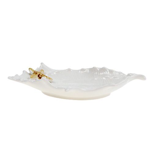 Floristik24 Deco bowl shell with starfish 22cm
