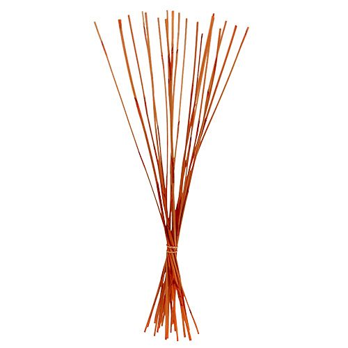 Floristik24 Decorative sticks Elephant Reed Orange 20 pcs