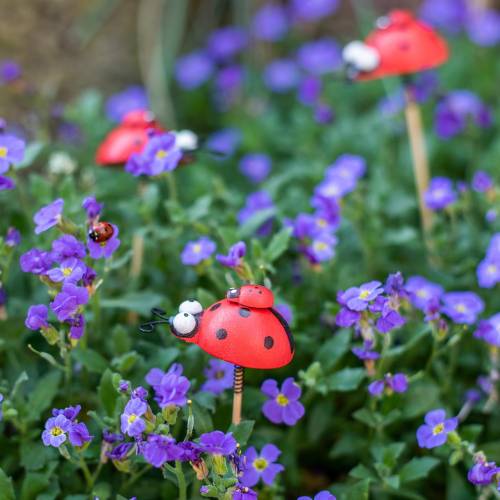 Product Deco plugs ladybug on stick wood red, black 4cm x 2.5cm H23.5cm 16 pieces