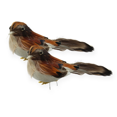 Floristik24 Decorative birds 9cm on wire 16 pcs