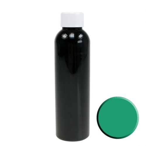 Floristik24 Decorative water green 150ml