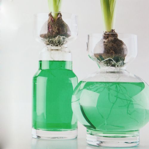 Floristik24 Decorative water green 150ml