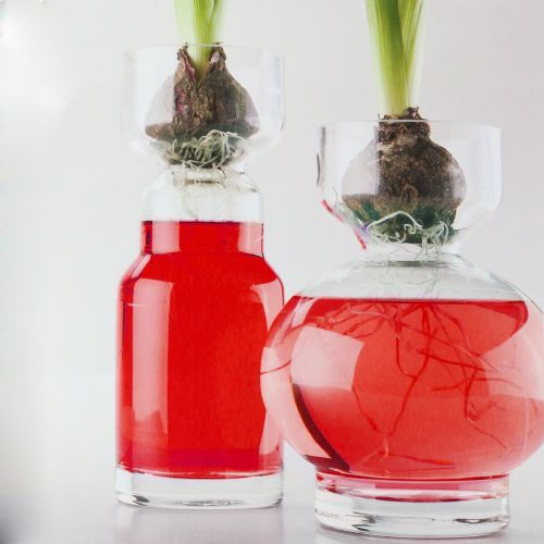 Floristik24 Deco water red 150ml
