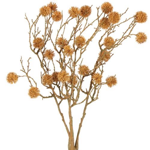Floristik24 Decorative branch sweetgum tree fruit decoration ochre brown 48cm