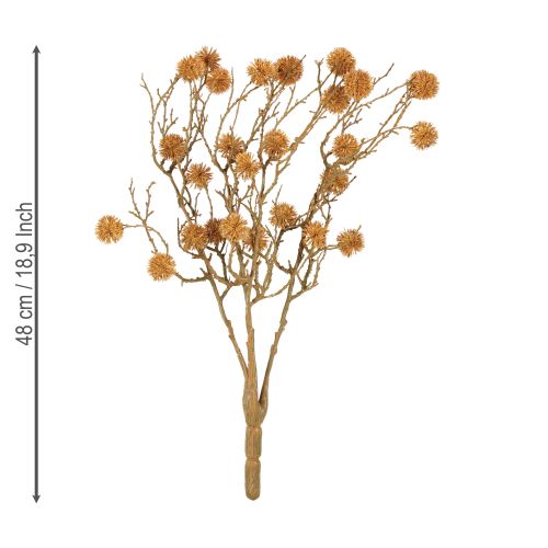 Product Decorative branch sweetgum tree fruit decoration ochre brown 48cm