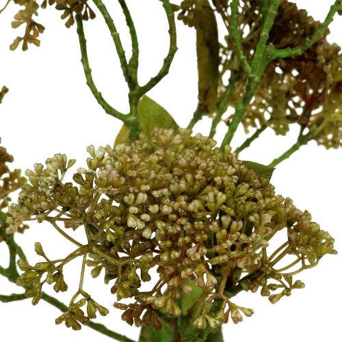 Floristik24 Deco branch stone crop Green 58cm