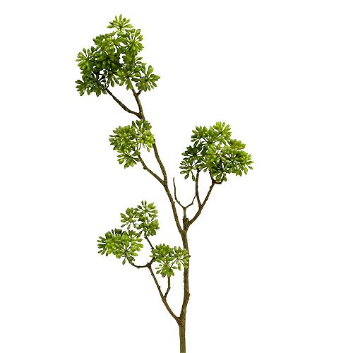 Floristik24 Deco branch green 80cm