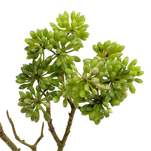 Floristik24 Deco branch green 80cm