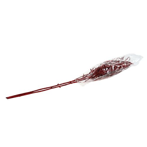Floristik24 Decorative branch red with glitter 69cm 2 pcs
