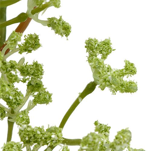 Floristik24 Deco branch green L43cm 4pcs