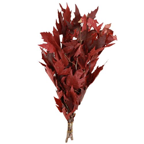 Floristik24 Decorative branches maple leaves decorative maple leaves red 50-60cm 100g