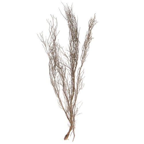 Product Decorative branches natural decorative thyme branches dried 500g