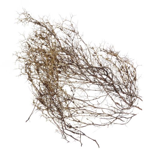 Product Deco branches Iron Bush branches natural decoration wood nature 250g