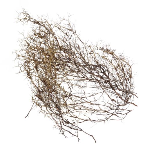 Deco branches Iron Bush branches natural decoration wood nature 250g