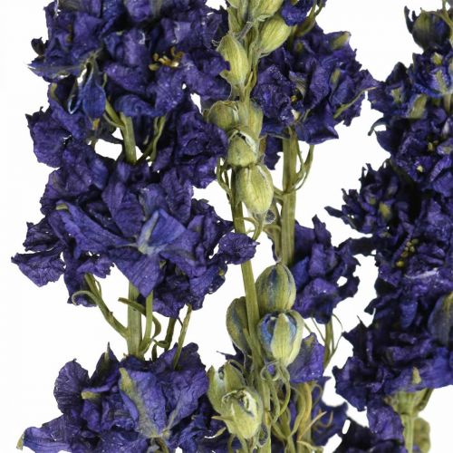 Product Dried delphinium, dry floristry, delphinium blue L64cm 25g