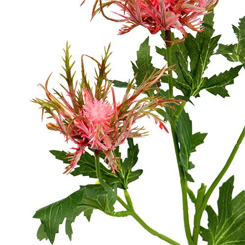 Floristik24 Thistle Branch Pink, Green L67cm 4pcs