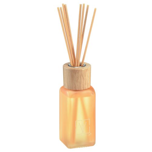 Floristik24 Room Fragrance Diffuser Glass Ginger Camila Fragrance Sticks 100ml