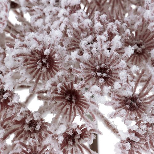 Product Dill artificially snowed Ø15cm L80cm 1pc