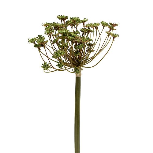 Floristik24 Dill artificial green 76cm