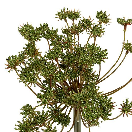 Floristik24 Dill artificial green 76cm