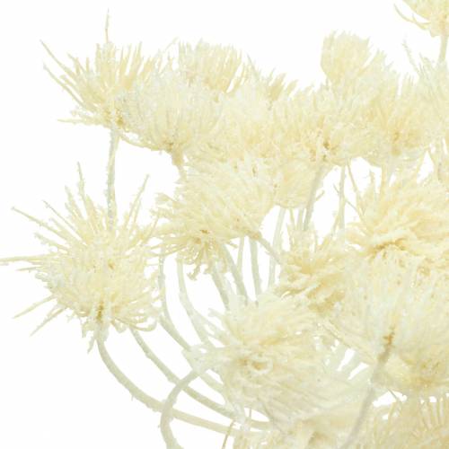 Product Dill white snowed 117cm