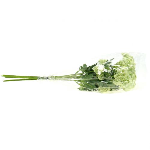 Product Dill artificial white 49cm 6 pcs