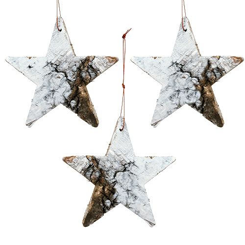 Floristik24 Birch stars to hang small white 10cm 12pcs